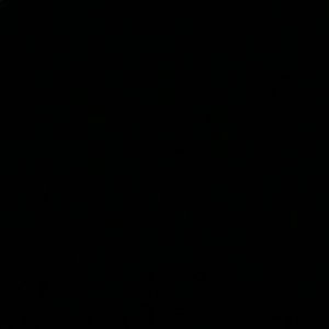 Meet your Posher, Dwight